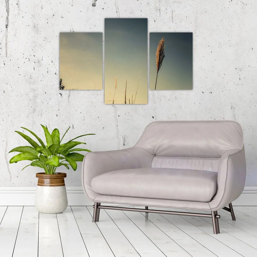 Tablou - Iarba (90x60 cm)