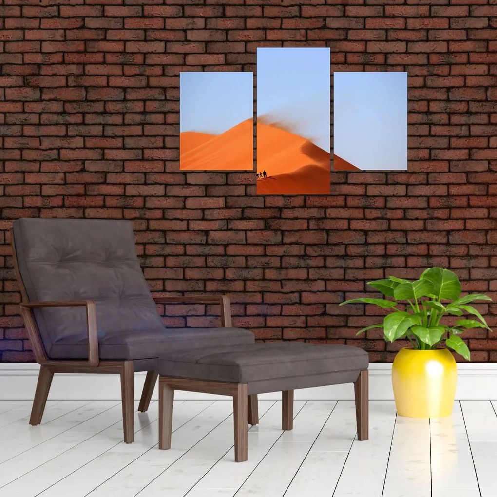 Tablou - Deșert nisipos (90x60 cm)