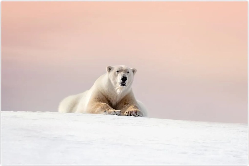 Tablou - Urs polar (90x60 cm)