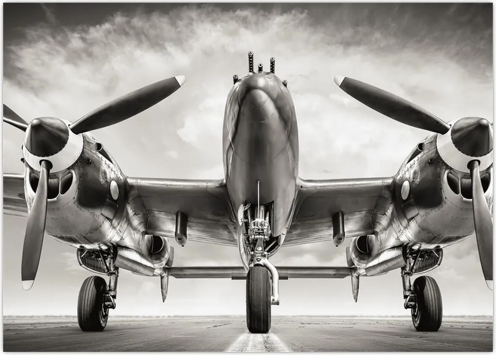 Tablou - Warbird (70x50 cm)