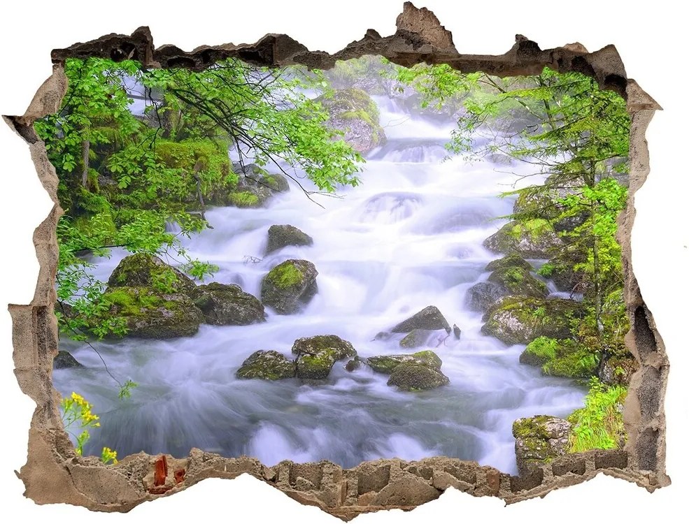 Fototapet 3D gaură în perete Râu de munte