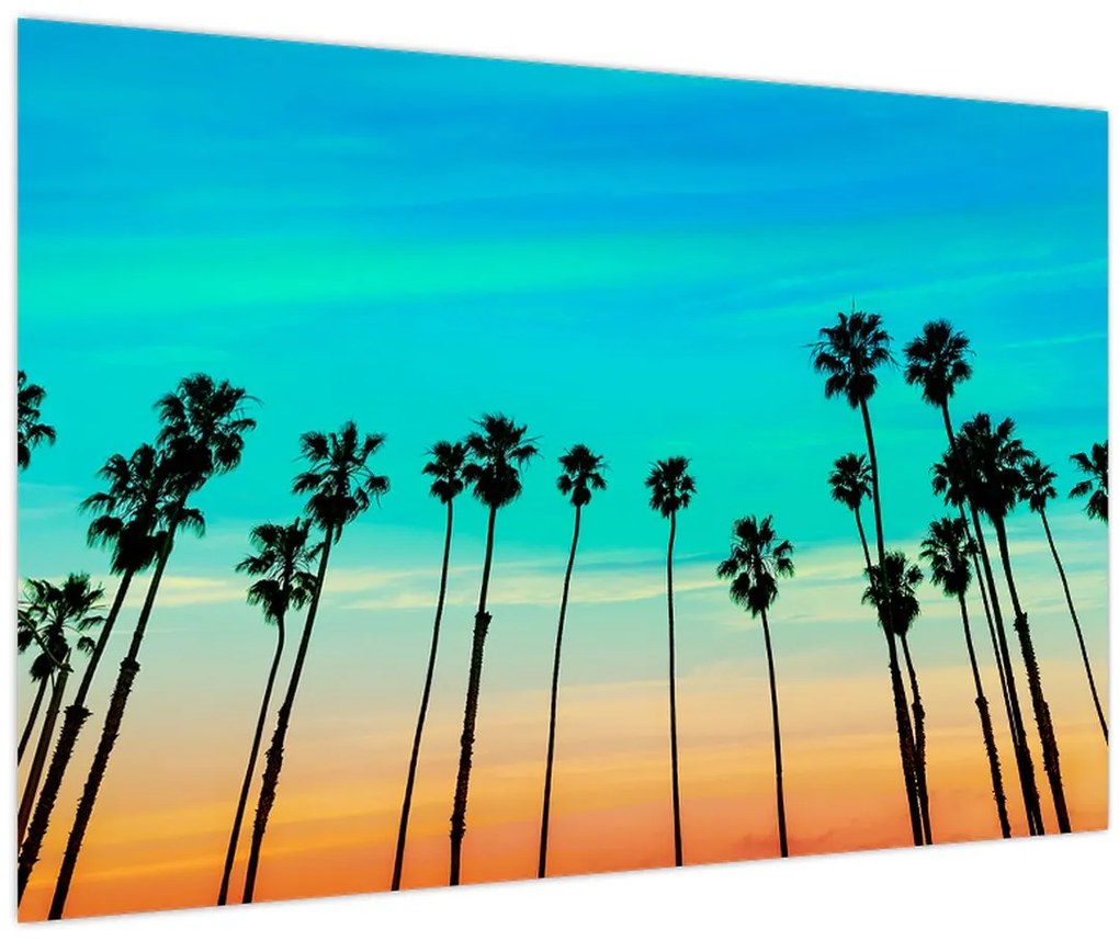 Tablou - California (90x60 cm)