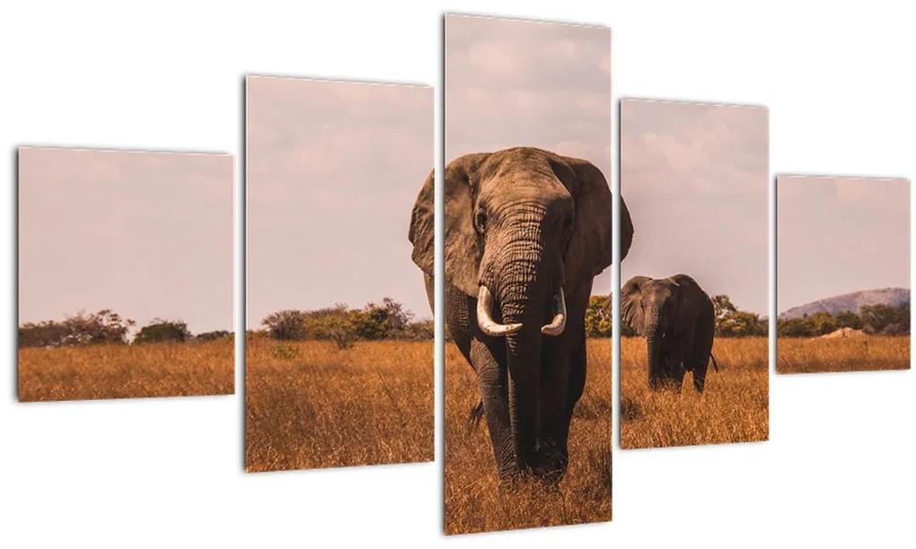 Tablou - Venirea elefantului (125x70 cm), în 40 de alte dimensiuni noi