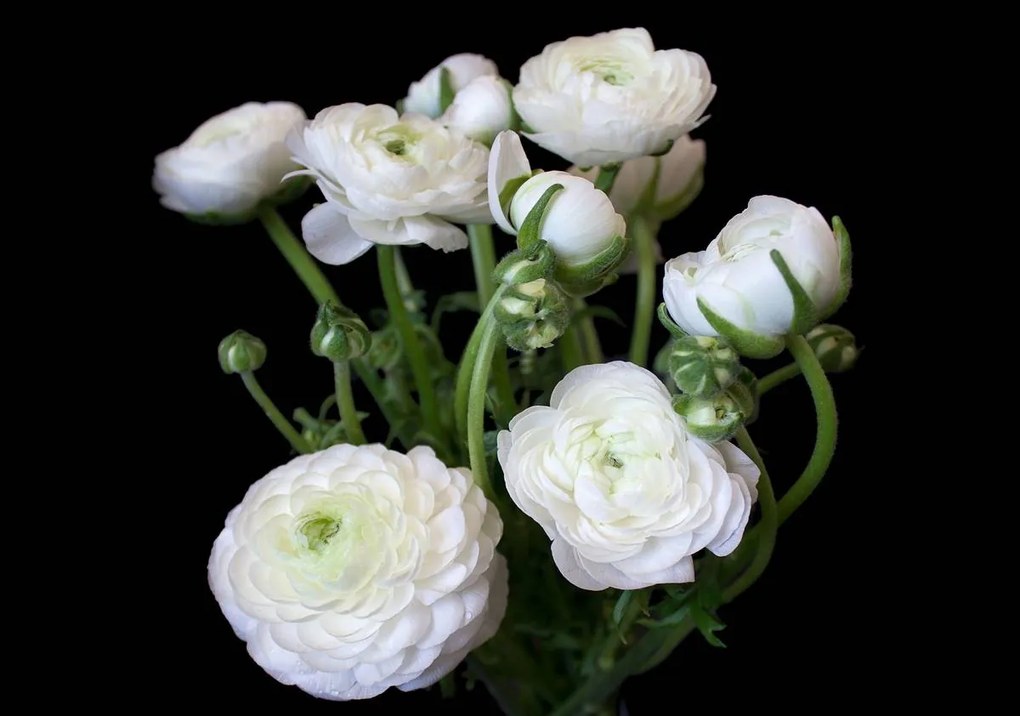 Fototapet - Buchete de flori (254x184 cm), în 8 de alte dimensiuni noi