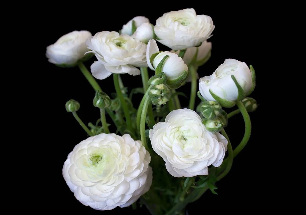Fototapet - Buchete de flori (254x184 cm)