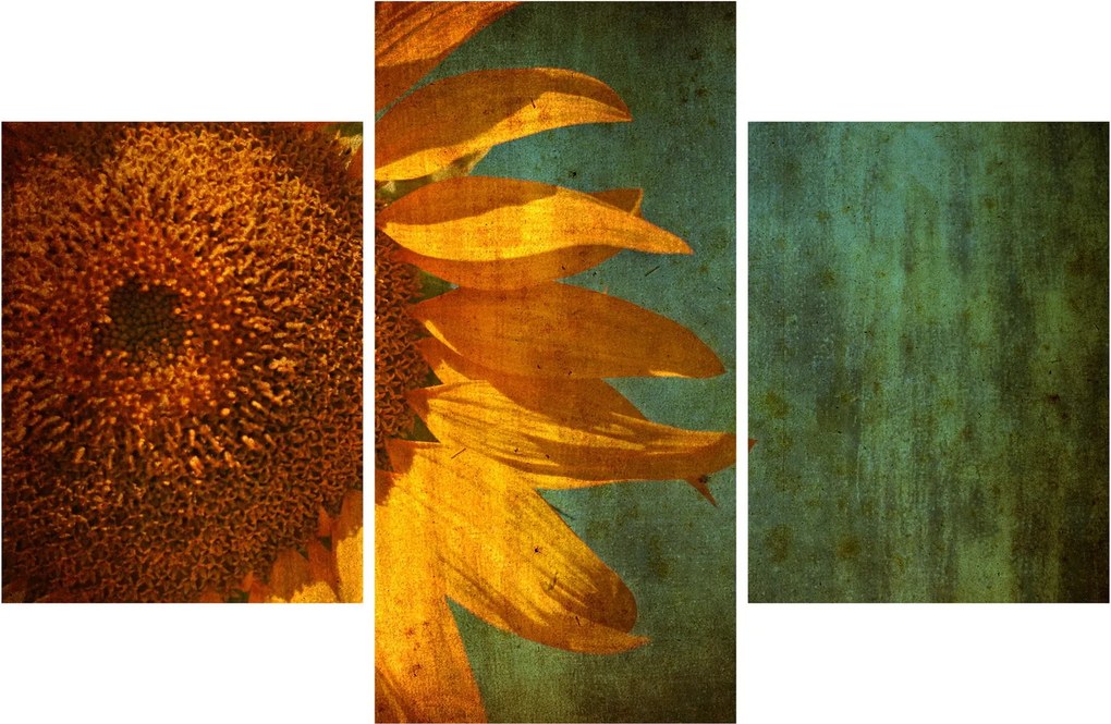 Tablou - Floarea soarelui (90x60 cm)