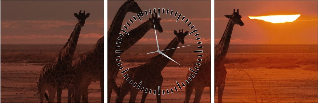 Tablou - Girafe în savana africană (cu ceas) (90x30 cm)
