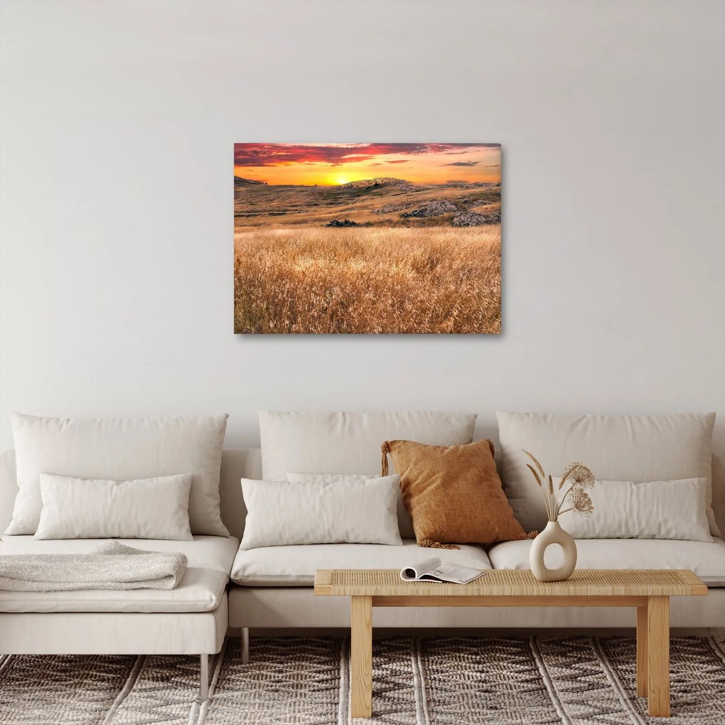 Tablou cu câmp (70x50 cm)
