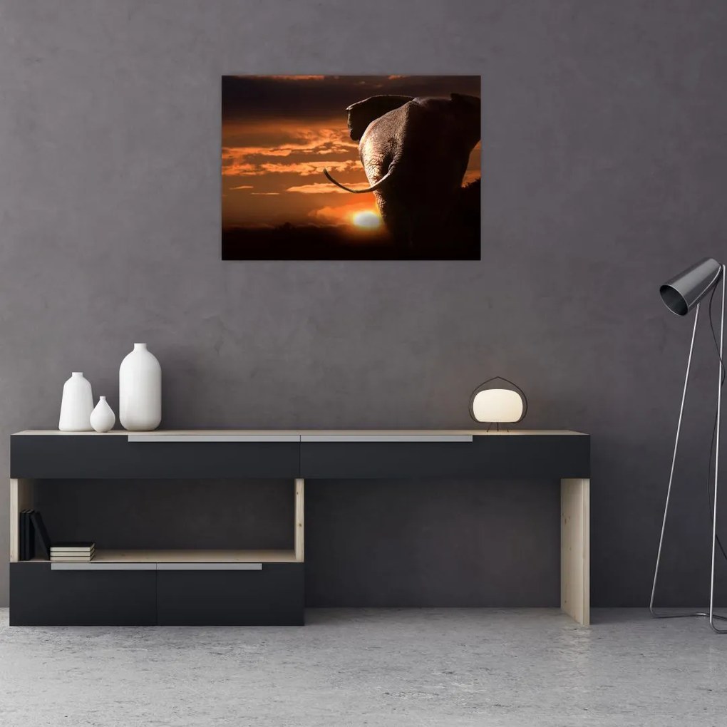 Tablou cu elefant (70x50 cm)