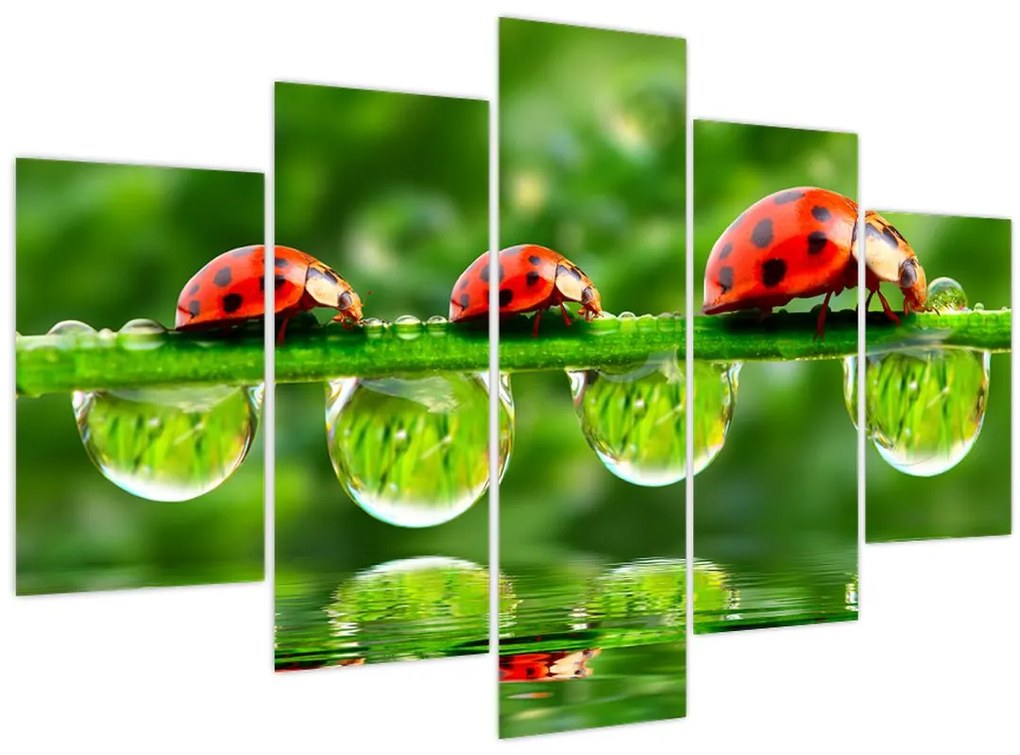 Tablou - Soarele celor șapte sori (150x105 cm)