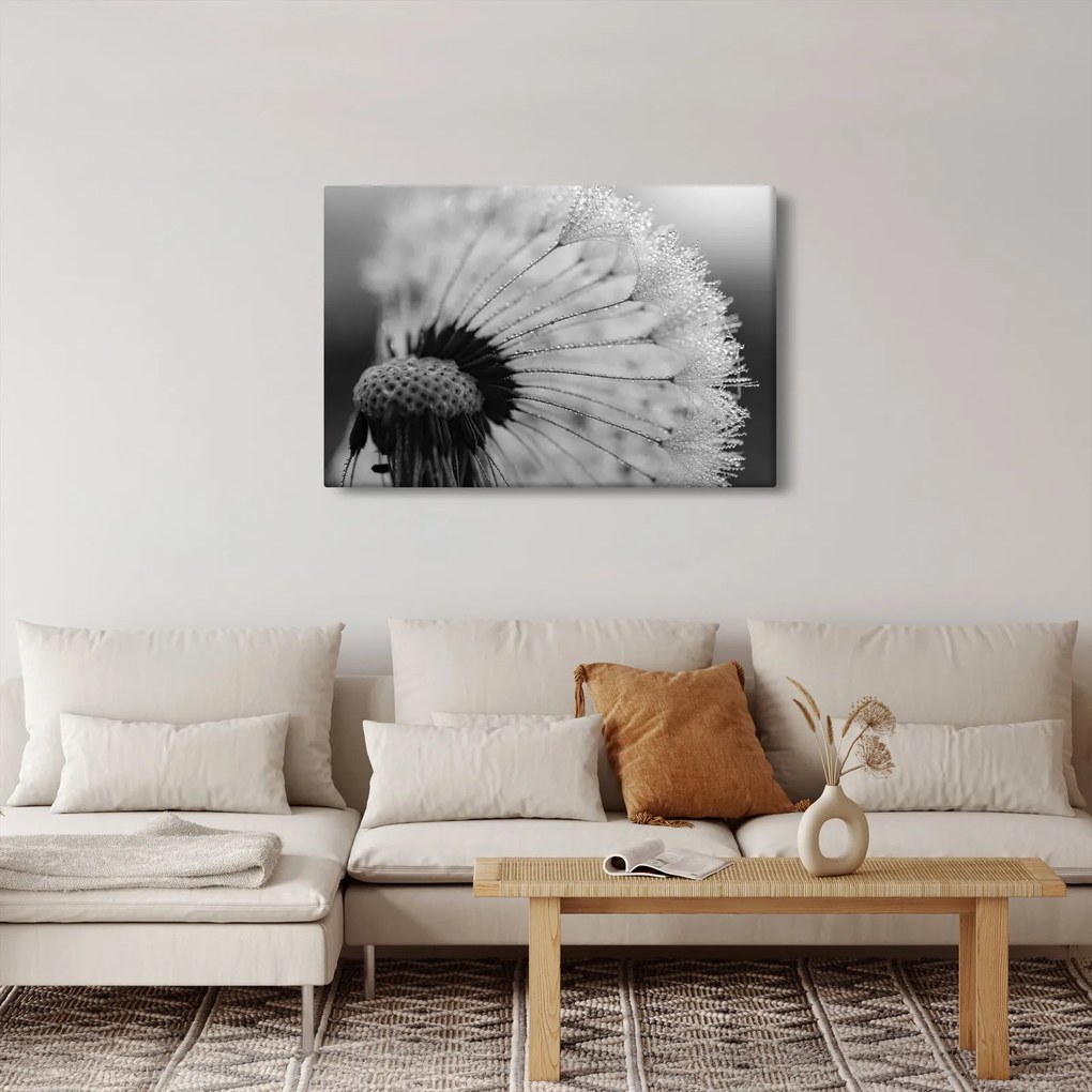 Tablou cu păpădie - albnegru (90x60 cm)