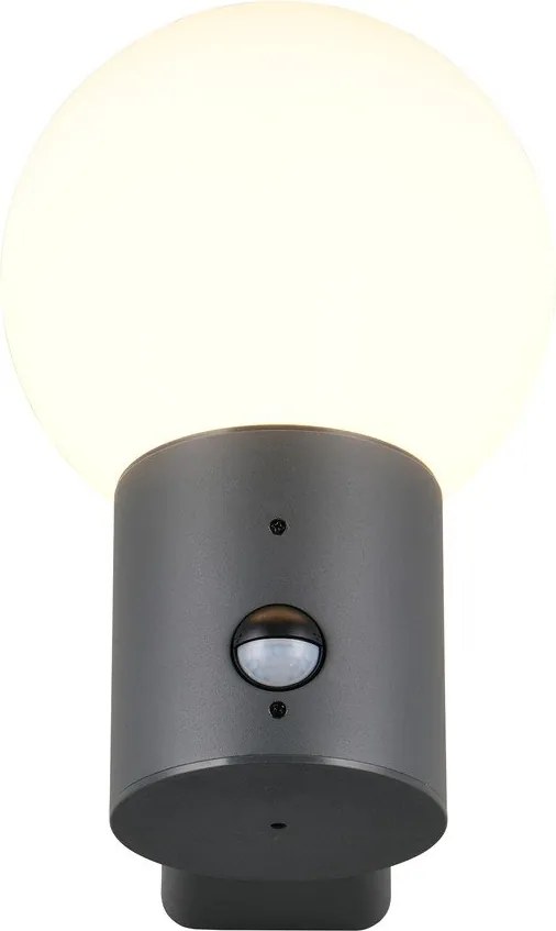 Corp de iluminat pentru exterior de perete cu senzor de mișcare ø 18 cm Mures – Trio