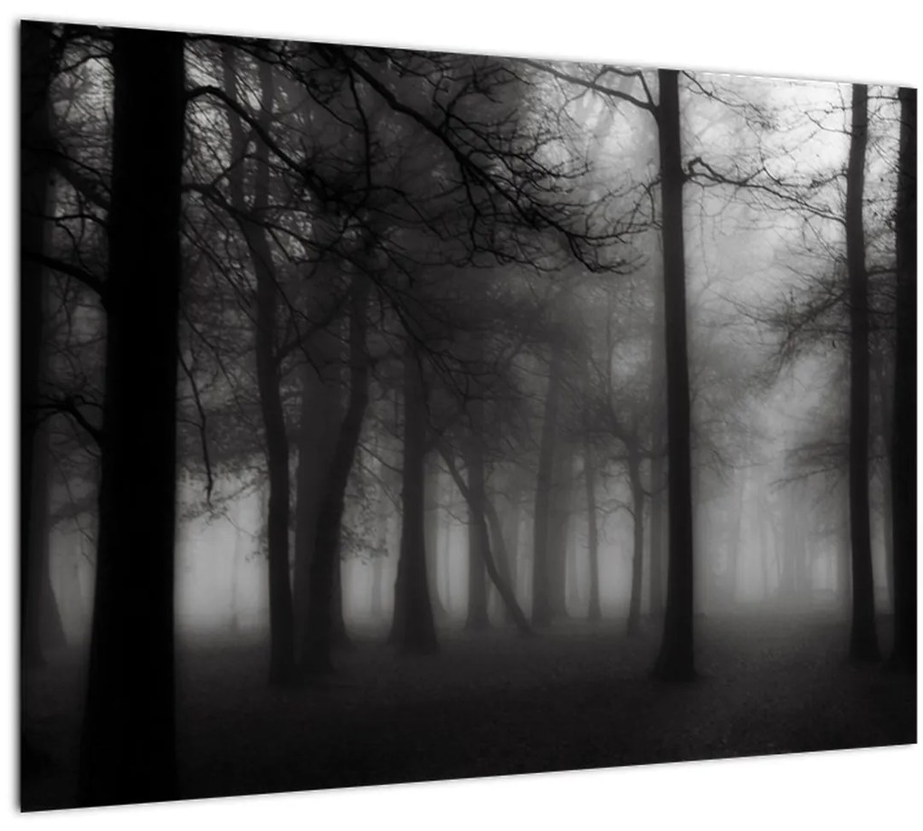 Tablou pe sticlă - Pădure în ceață (70x50 cm)