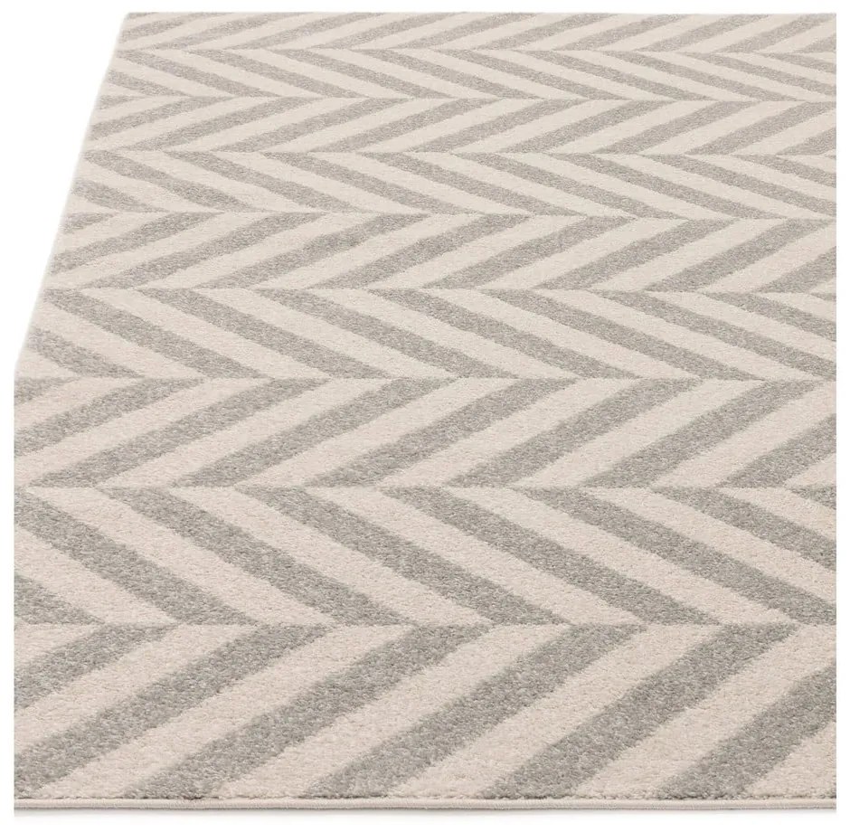 Covor gri deschis tip traversă 66x240 cm Muse – Asiatic Carpets