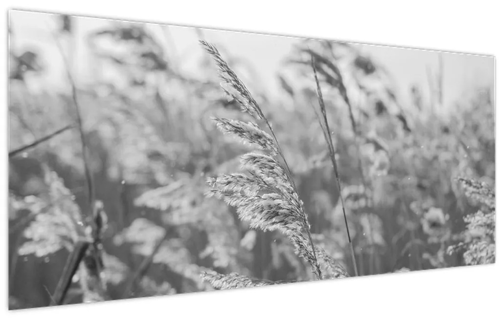 Tablou - Iarba în vânt (120x50 cm)