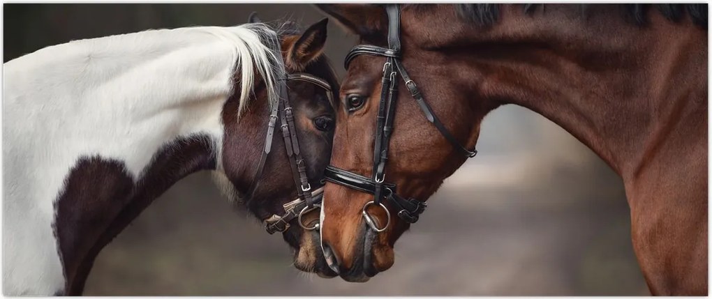 Tablou - Cai îndrăgostiți (120x50 cm)