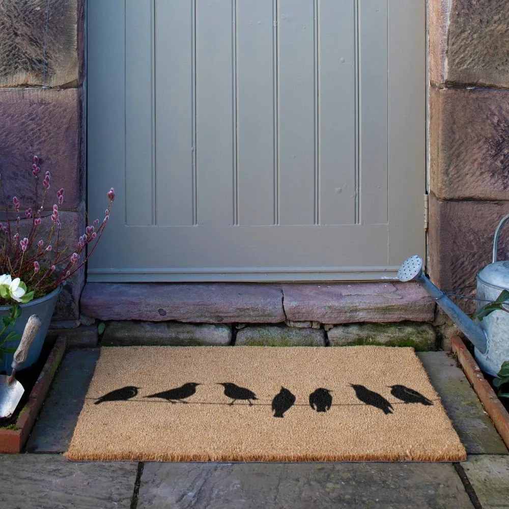 Covoraș de intrare din fibre de nucă de cocos 40x60 cm Birds On a Wire – Artsy Doormats