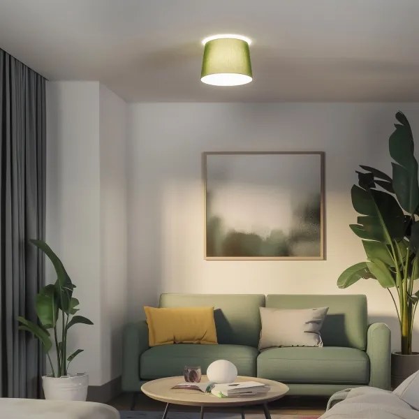 Brilagi - Plafonieră LED aplicată CERIA 1xE27/40W/230V, Ø 30 cm, verde