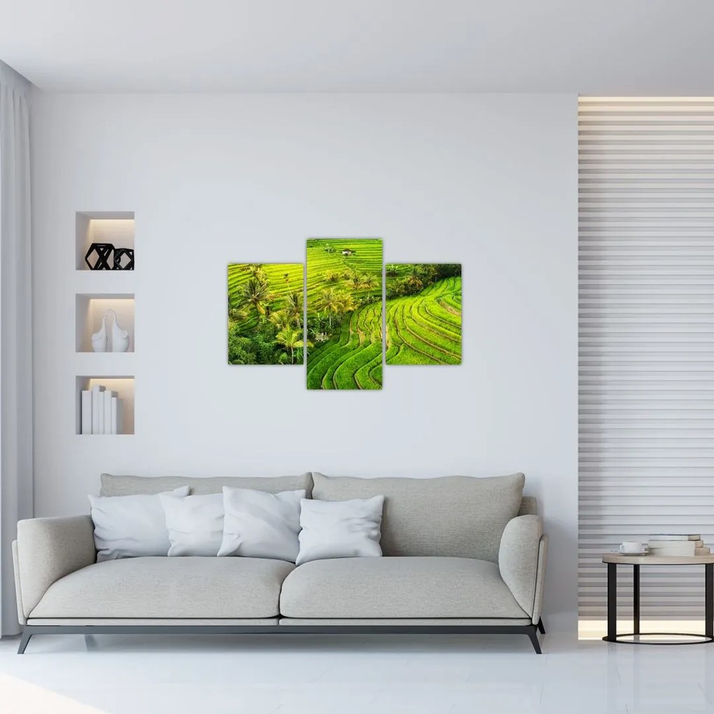 Tablou - Terase de orez (90x60 cm)