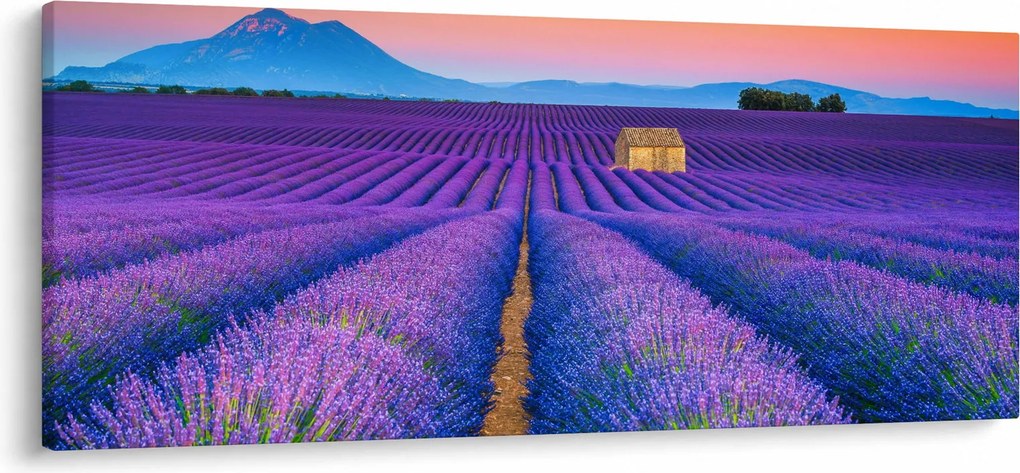 Tablou - Câmp de levănțica (120x50 cm)