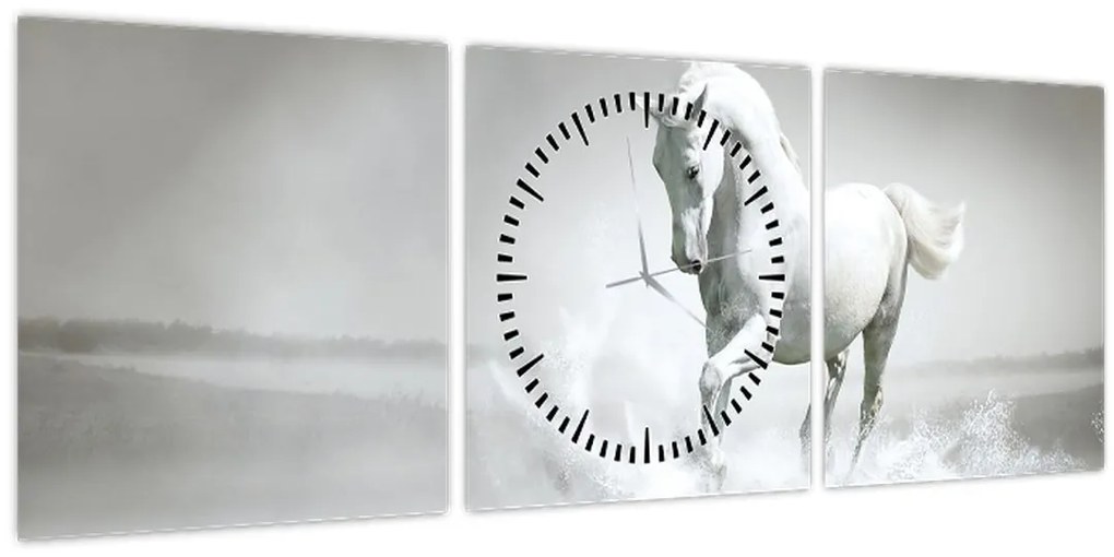 Tablou - Cal alb (cu ceas) (90x30 cm)
