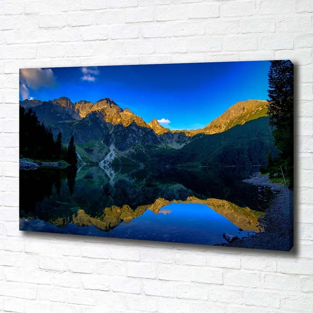 Tablou canvas Tatry