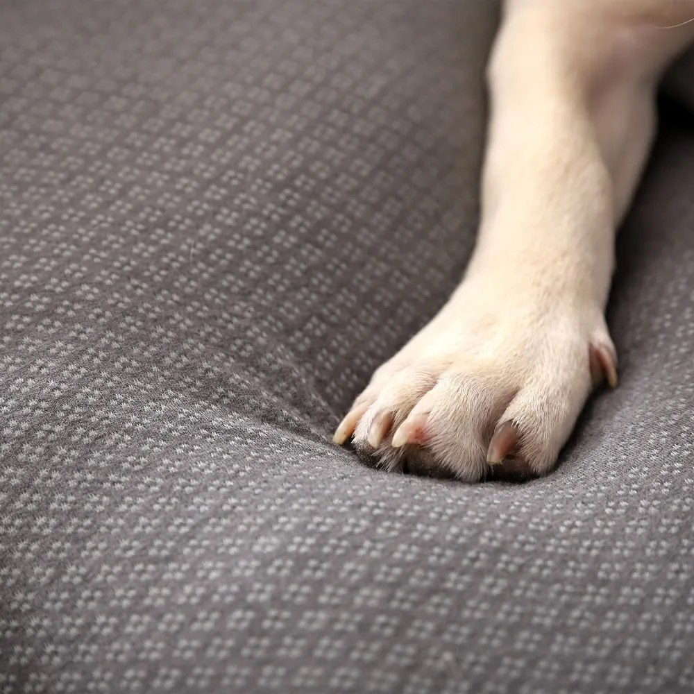 Pat pentru animale de companie gri deschis pentru câini 60x48 cm Graphene – Love Story