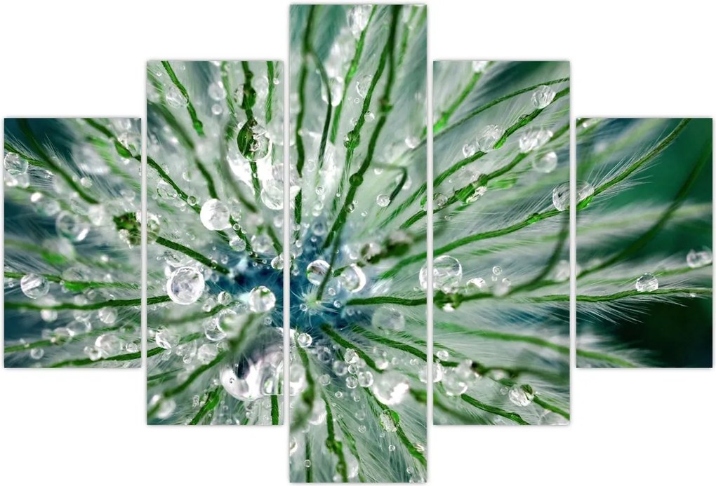 Tablou - Imagine macro a unei flori (150x105 cm)