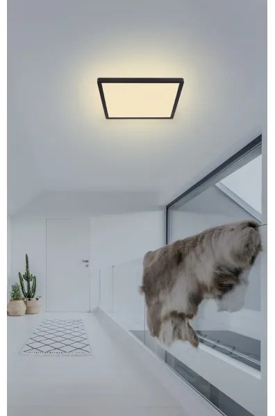 Plafonieră LED pentru baie Globo 41563-18B SAPANA LED/18W/230V IP44