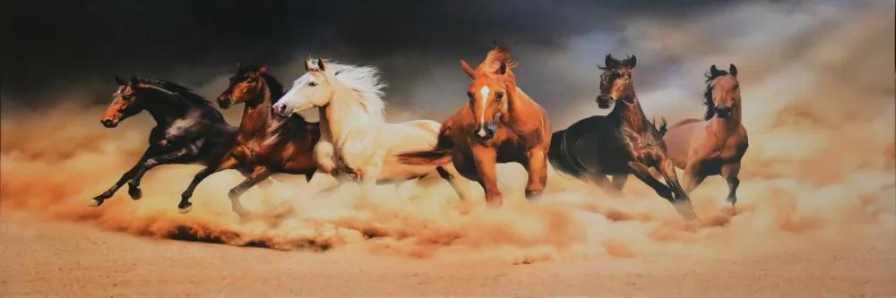 Falc Tablou pe pânză - A herd of horses, 50x150 cm