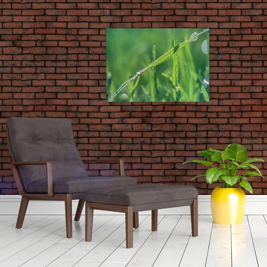 Tablou pe sticlă cu picături de rouă (70x50 cm)