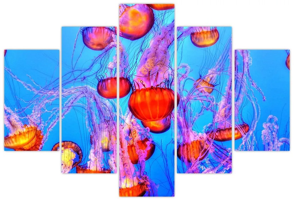 Tablou cu meduse în mare (150x105 cm)