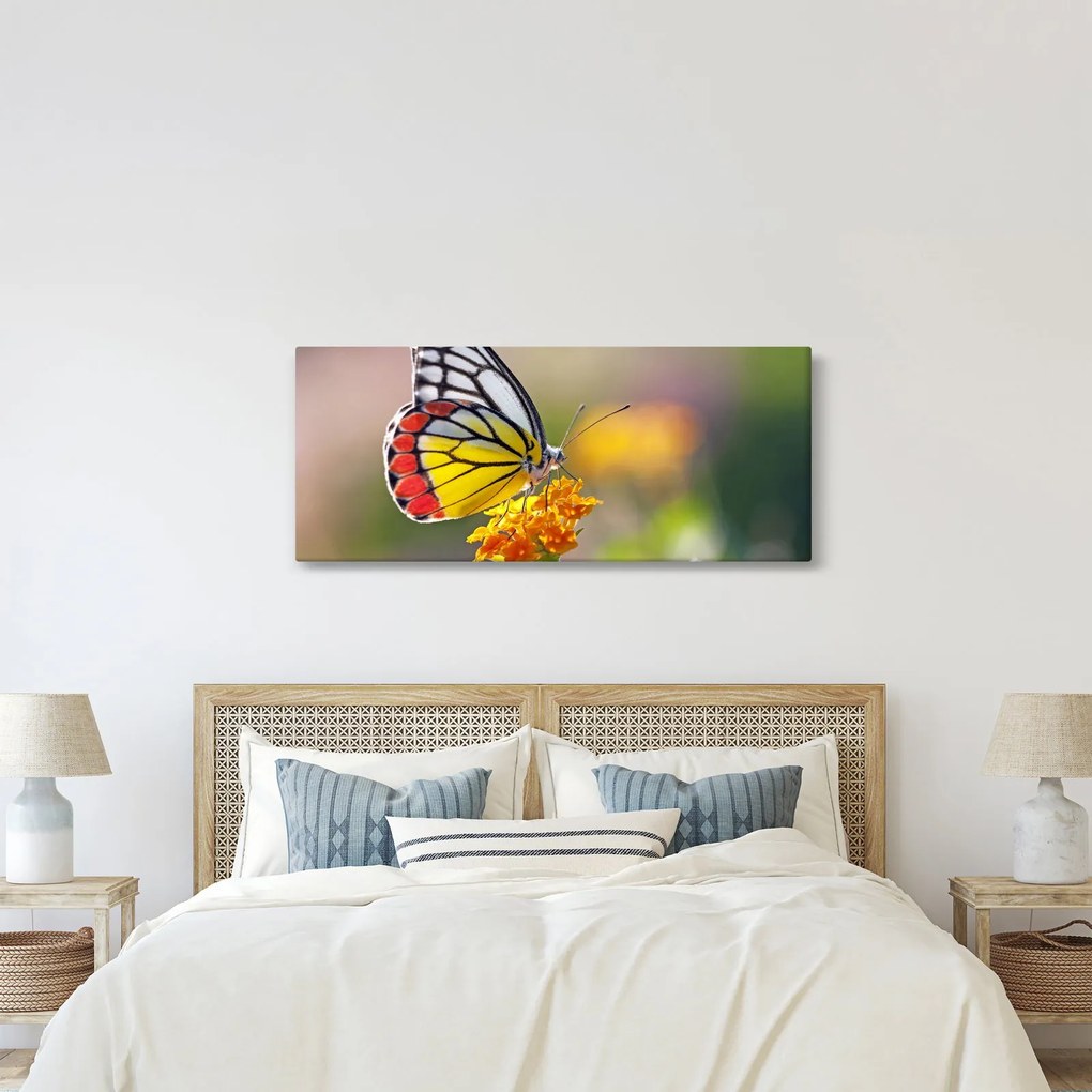 Tablou - Fluture pe floare (120x50 cm)