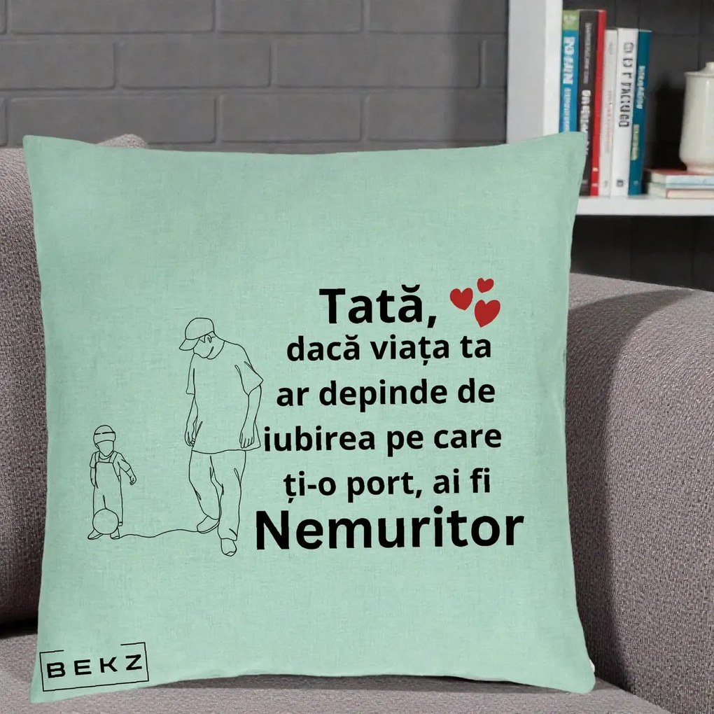 Cadou pentru Tata - Perna Personalizata Tata Nemuritor Joaca cu Mingea, 40x40 cm, Verde Menta, Husa Detasabila, Perna Inclusa, BEKZ®