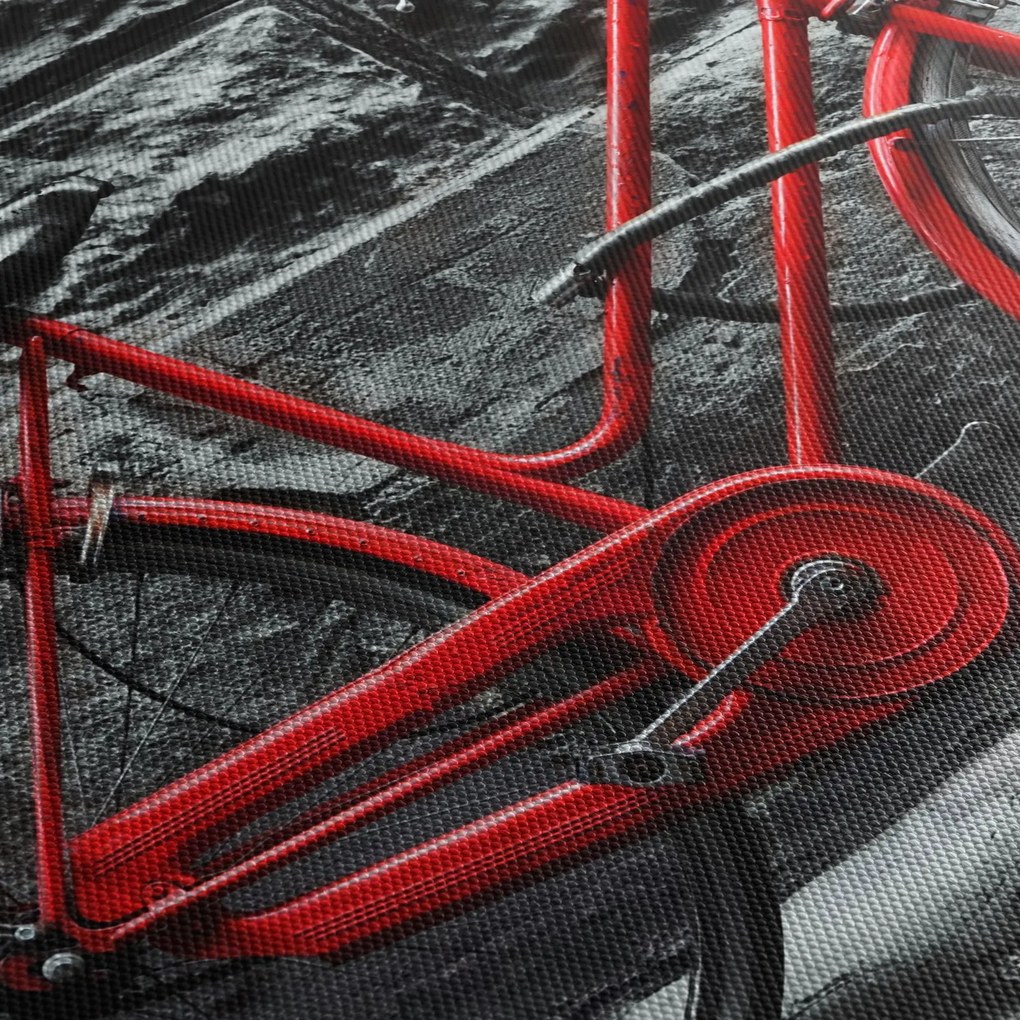 Tablou - Bicicleta istorică (70x50 cm)