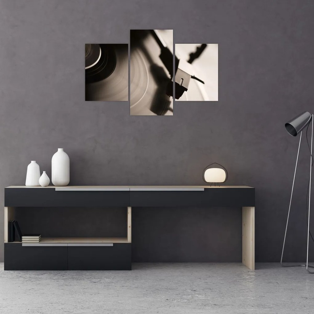 Tablou - Înregistrare gramofonică (90x60 cm)