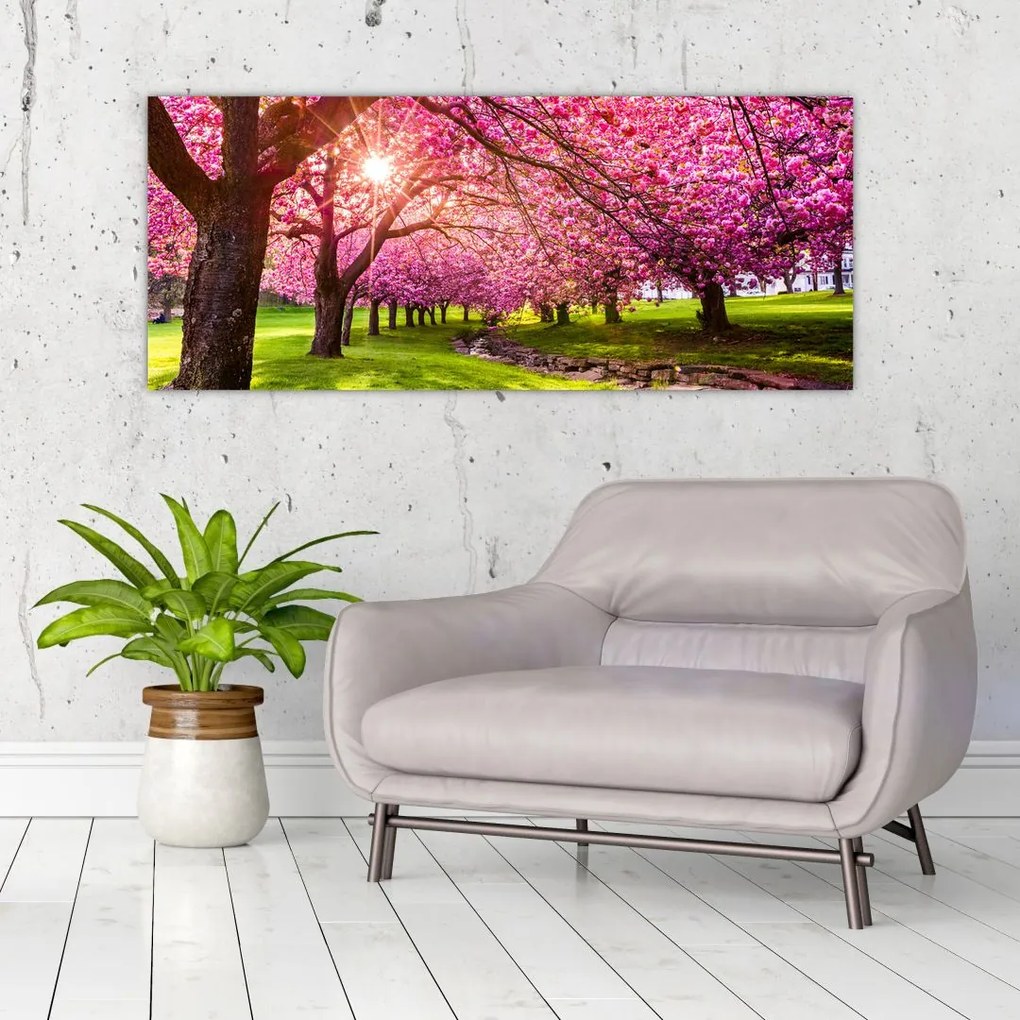 Tablou - Cireși înfloriți, Hurd Park, Dover, New Jersey (120x50 cm)