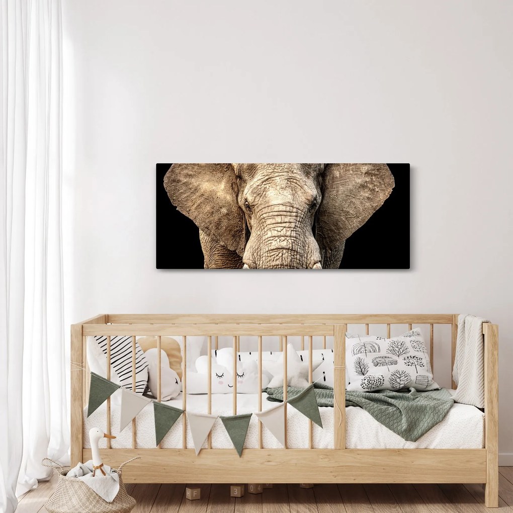 Tablou - Elefant african (120x50 cm)