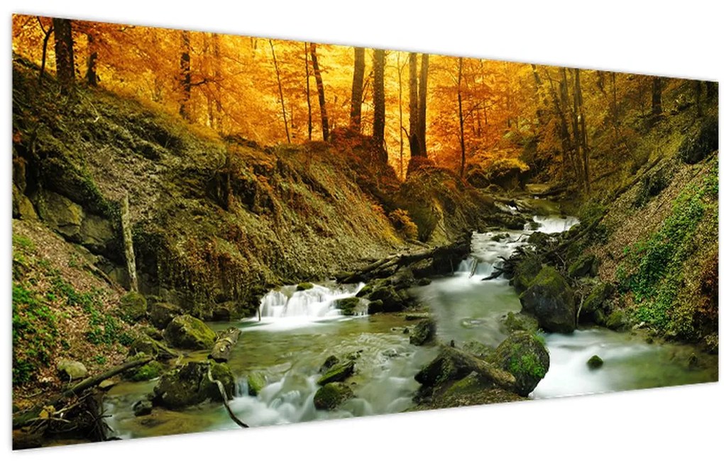 Tablou - Pădure (120x50 cm)