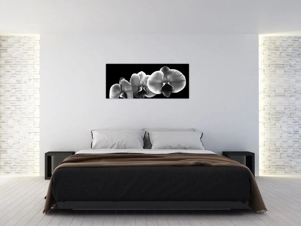Tablou floare de orhidee (120x50 cm)