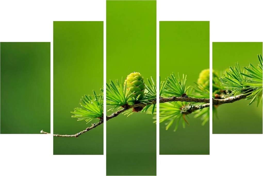 Tablou con verde (150x105 cm)