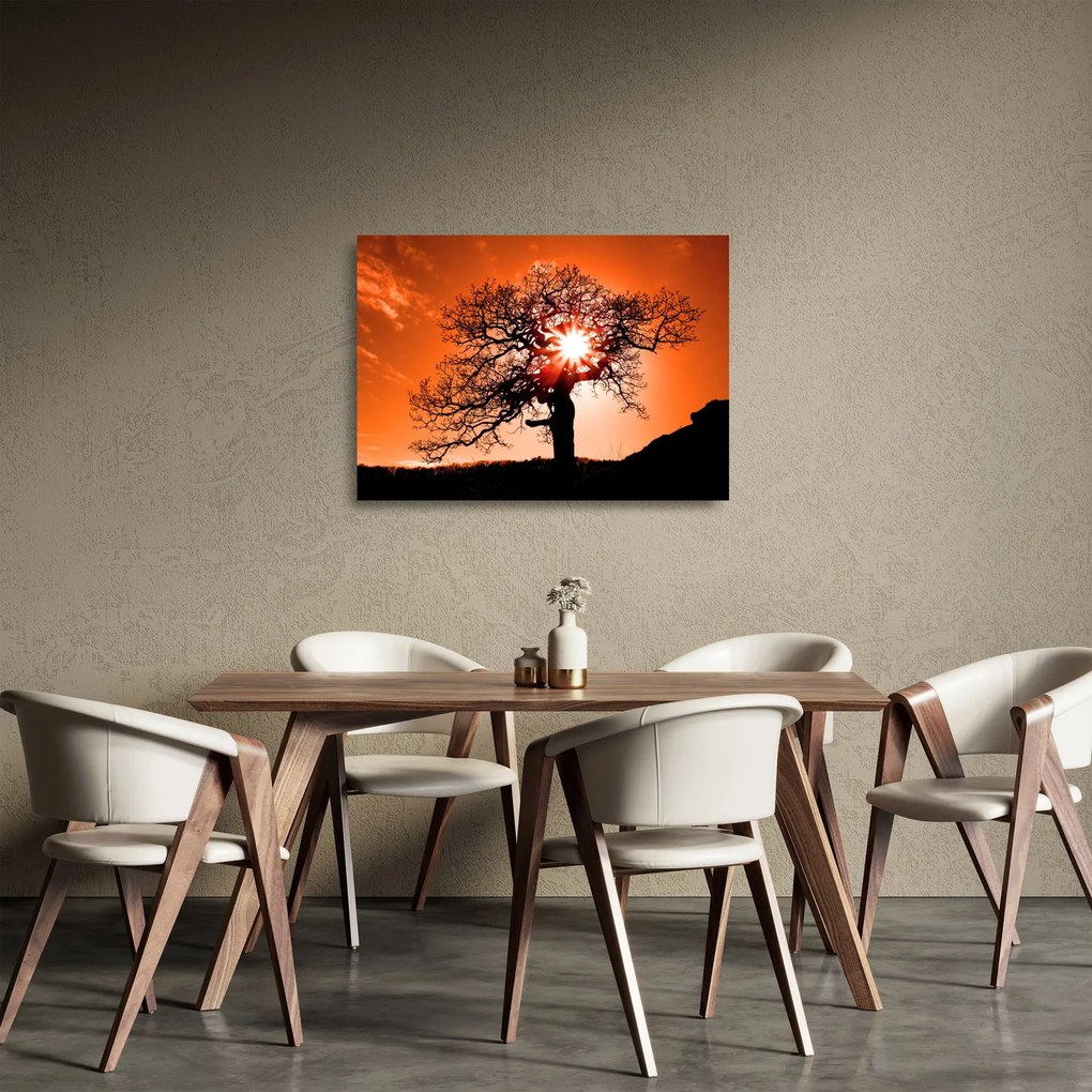 Tablou pe sticlă - Fag la apus de soare (70x50 cm)