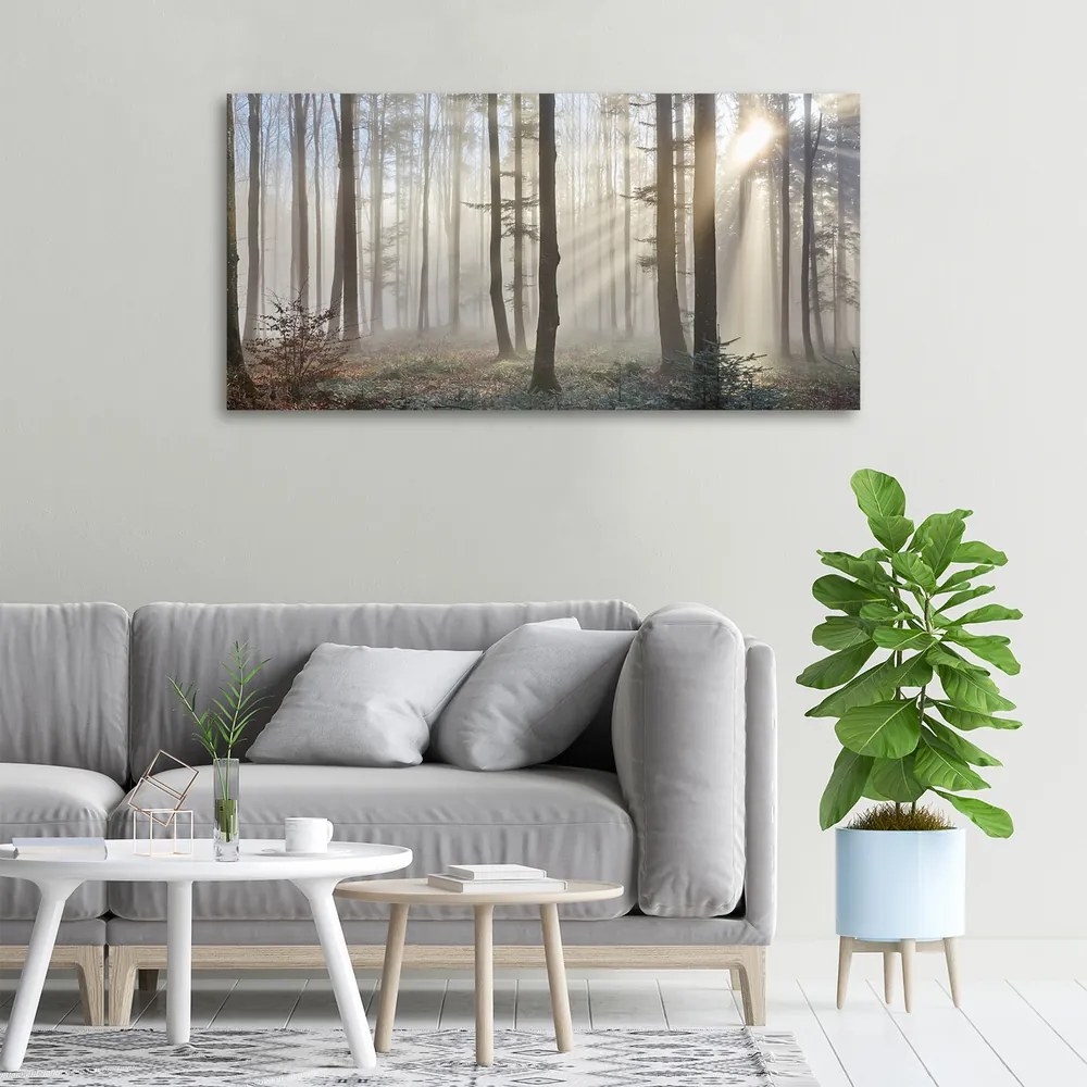 Imprimare tablou canvas Ceață în pădure