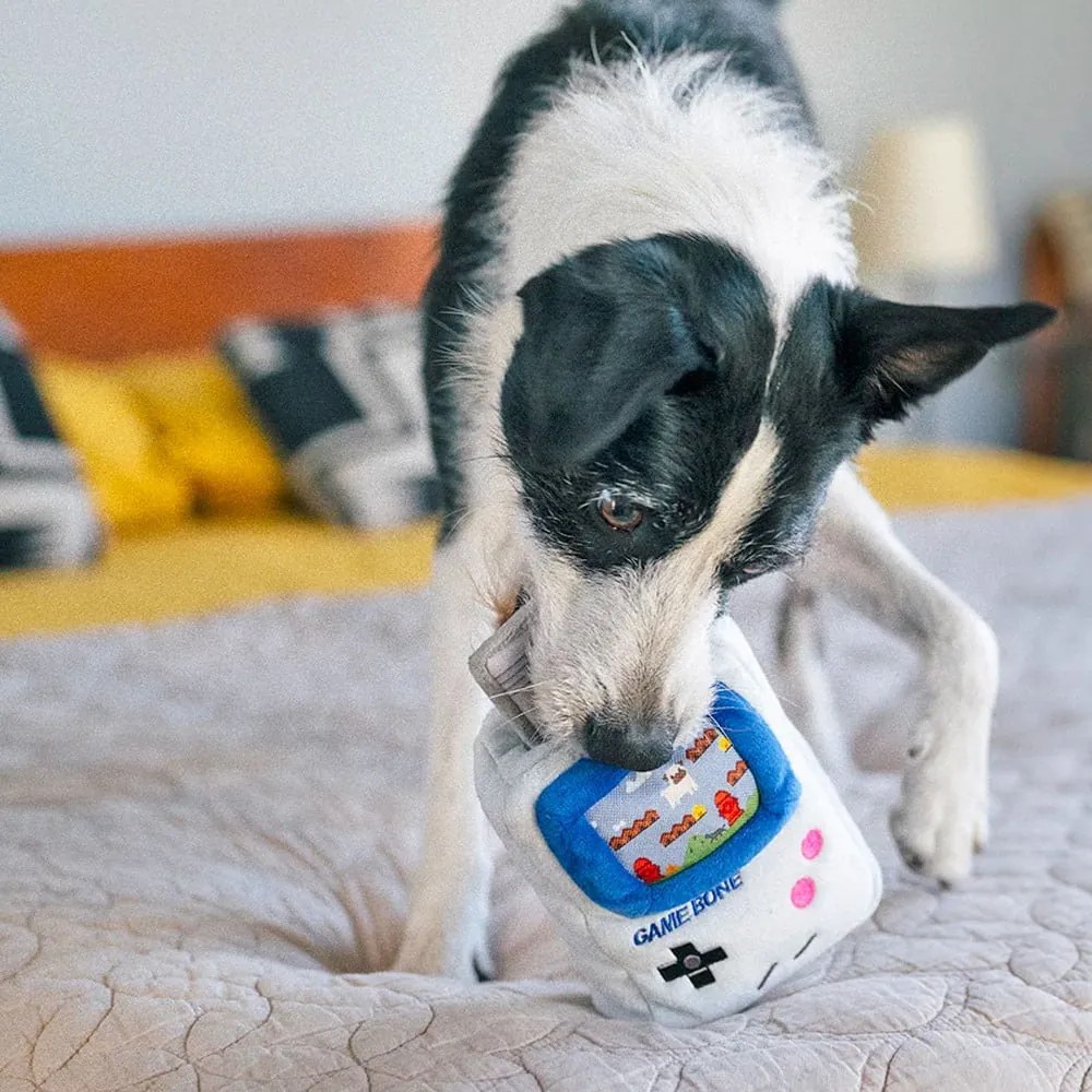 Jucărie pentru câine Game Boy - P.L.A.Y.