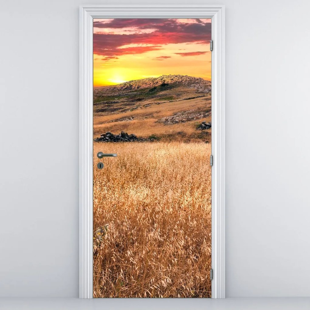 Fototapet pentru ușă - Câmpul (95x205cm)