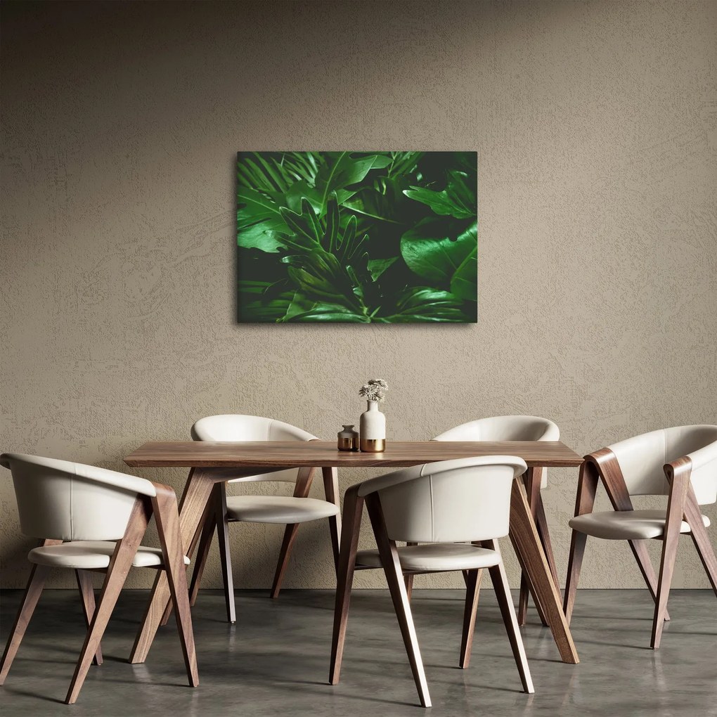 Tablou - Frunze de palmier (70x50 cm)