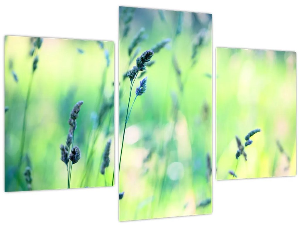 Tablou - Detaliu pajiște (90x60 cm)