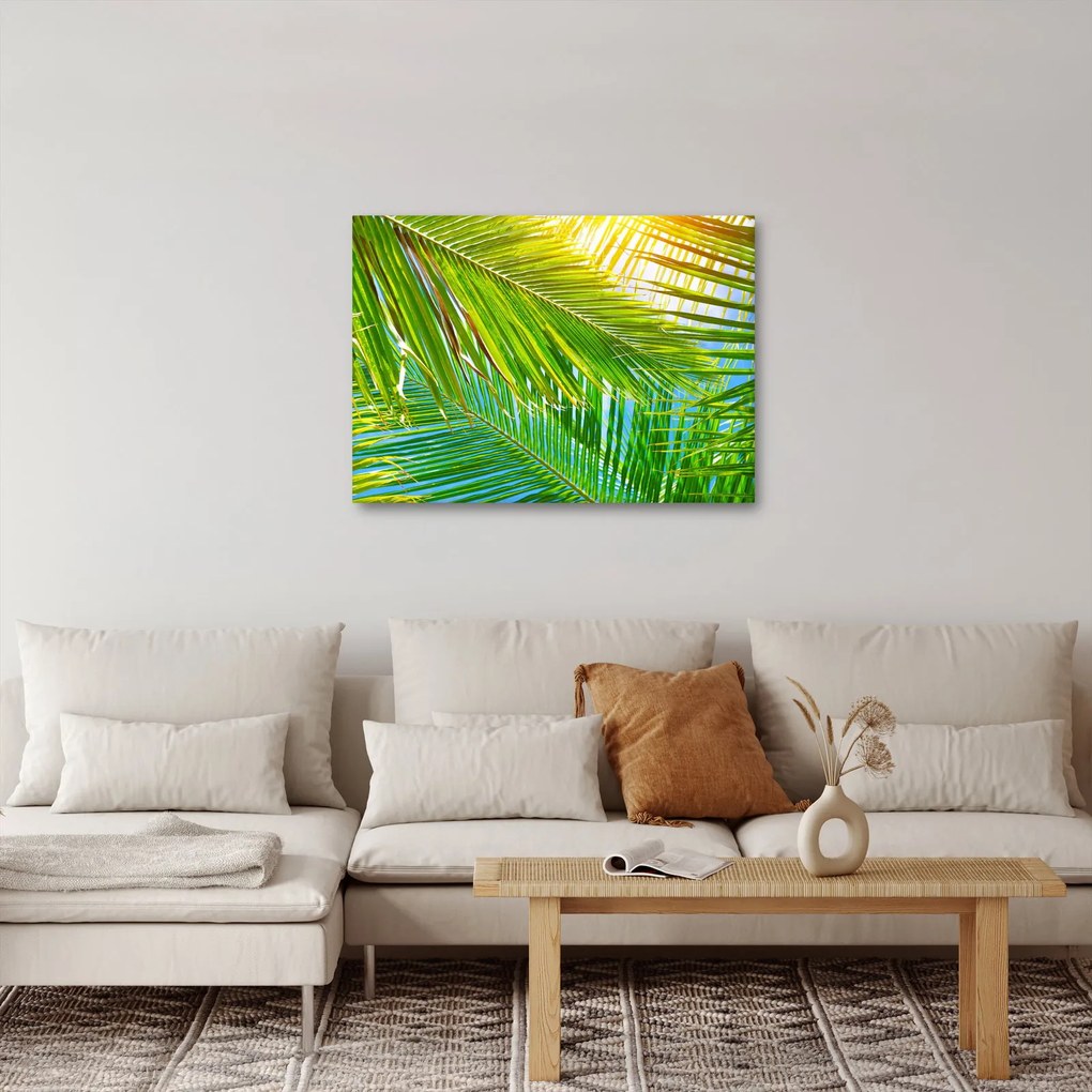 Tablou - Frunze de palmier (70x50 cm)