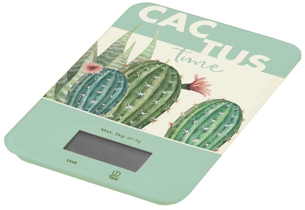 Cantar de bucatarie Cactus