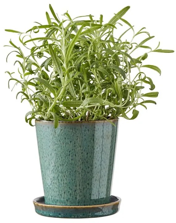 Ghiveci decorativ din gresie ø 10 cm Gastro Green/Black – Bitz